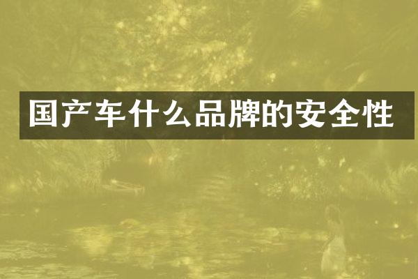 国产车什么品牌的安全性