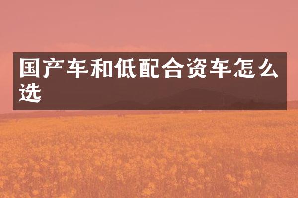 国产车和低配合资车怎么选