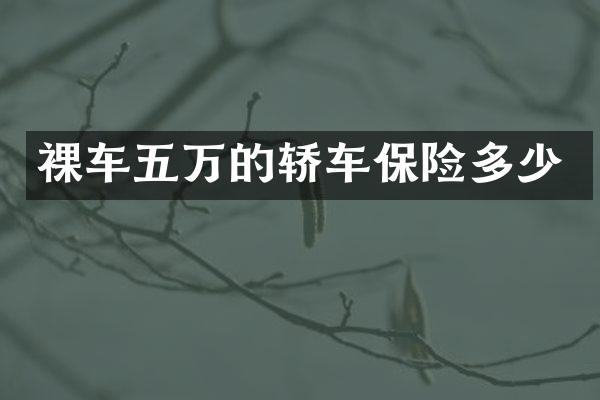 裸车五万的轿车保险多少