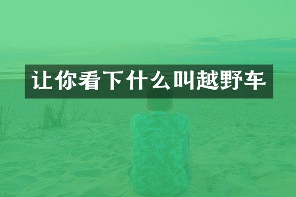 让你看下什么叫越野车