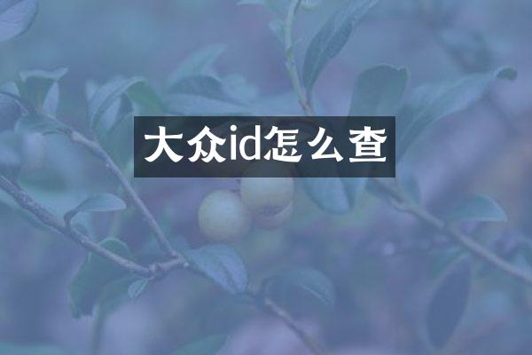 大众id怎么查