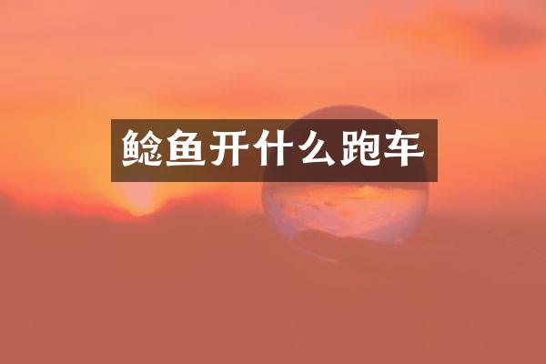 鲶鱼开什么跑车