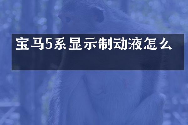 宝马5系显示制动液怎么办