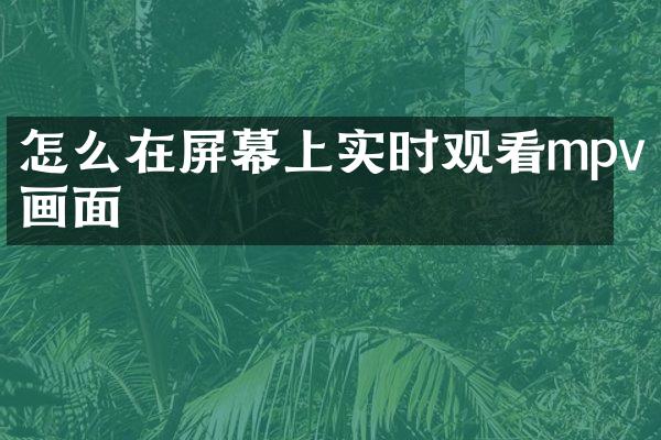 怎么在屏幕上实时观看mpv画面