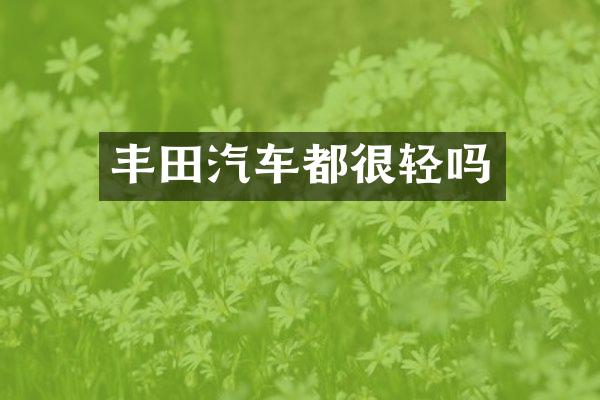 丰田汽车都很轻吗