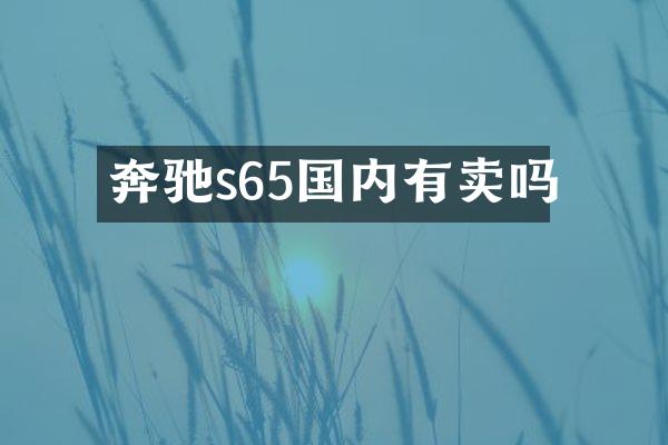 奔驰s65国内有卖吗
