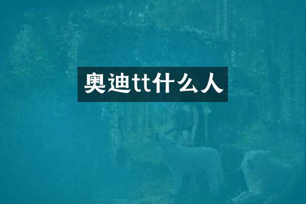 奥迪tt什么人