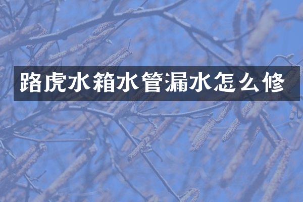 路虎水箱水管漏水怎么修