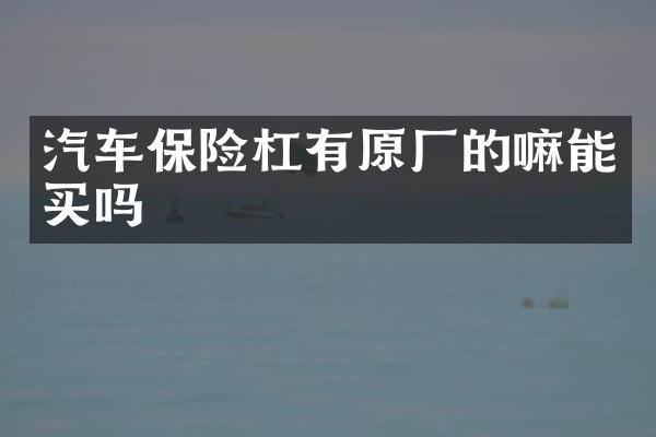 汽车保险杠有原厂的嘛能买吗