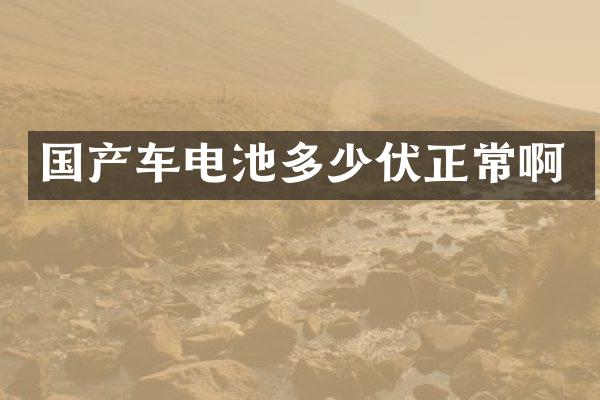 国产车电池多少伏正常啊