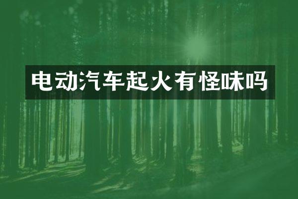 电动汽车起火有怪味吗