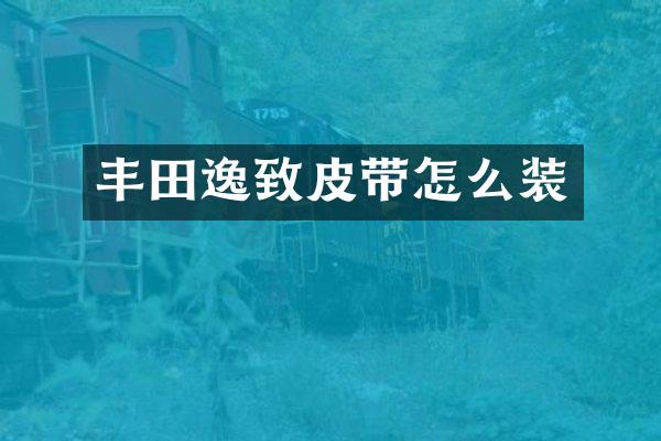丰田逸致皮带怎么装