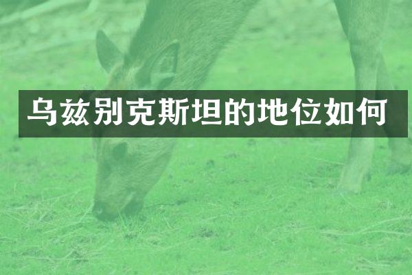 乌兹别克斯坦的地位如何