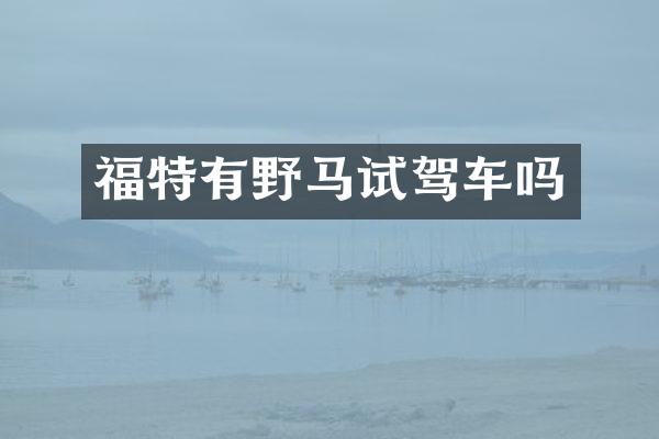 福特有野马试驾车吗