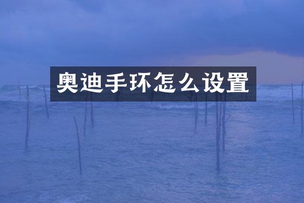 奥迪手环怎么设置