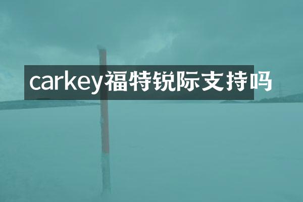 carkey福特锐际支持吗