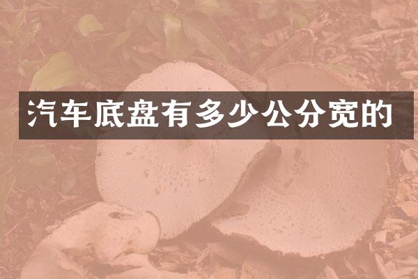 汽车底盘有多少公分宽的