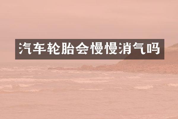汽车轮胎会慢慢消气吗