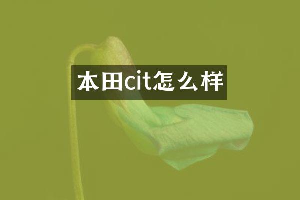 本田cit怎么样