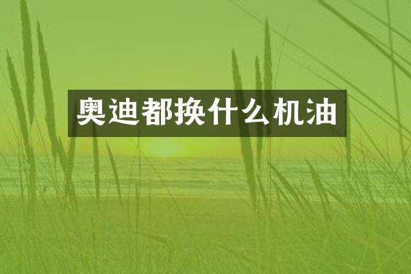 奥迪都换什么机油