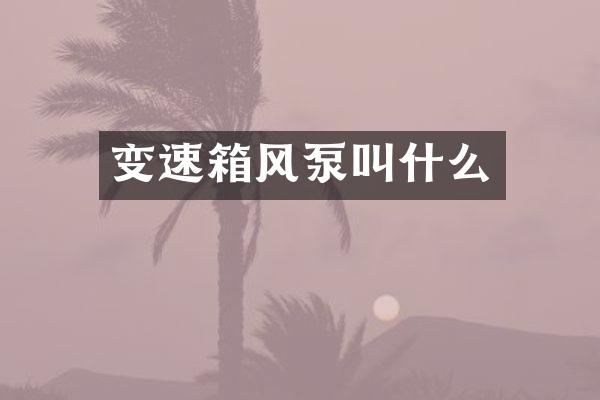 变速箱风泵叫什么