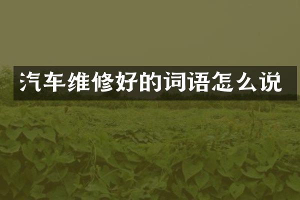 汽车维修好的词语怎么说