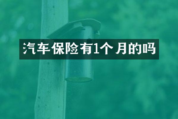 汽车保险有1个月的吗