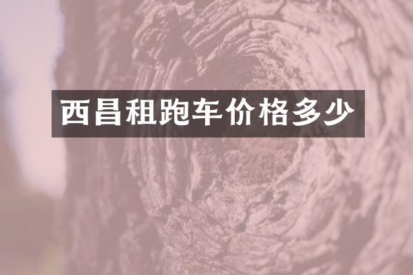 西昌租跑车价格多少