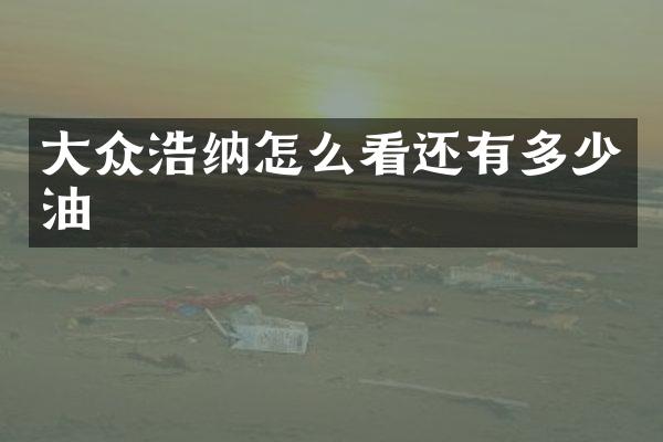 大众浩纳怎么看还有多少油