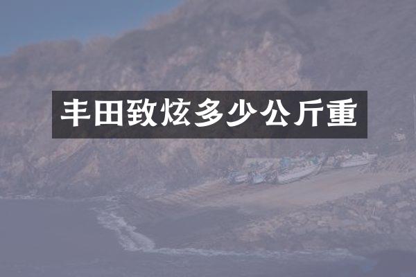 丰田致炫多少公斤重