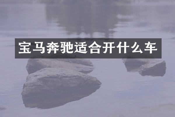 宝马奔驰适合开什么车