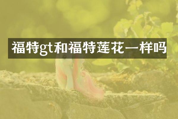福特gt和福特莲花一样吗
