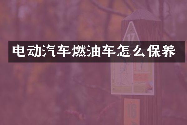 电动汽车燃油车怎么保养