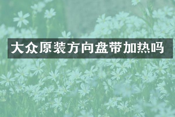 大众原装方向盘带加热吗