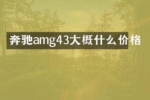 奔驰amg43大概什么价格