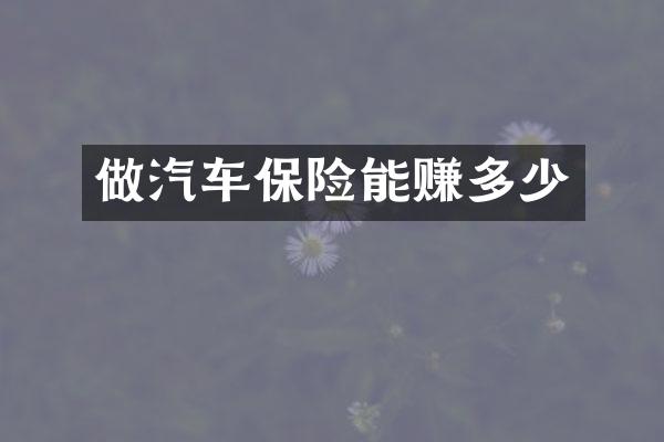 做汽车保险能赚多少