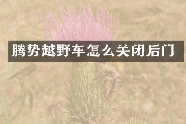 腾势越野车怎么关闭后门