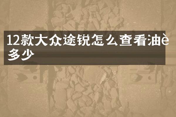 12款大众途锐怎么查看油耗多少