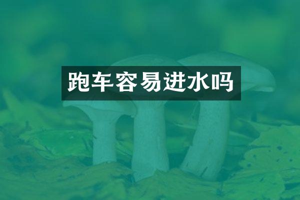跑车容易进水吗
