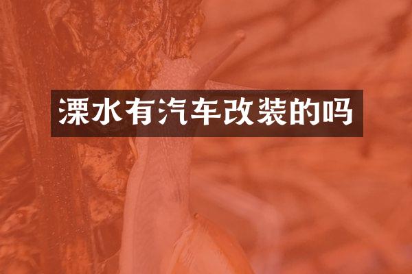 溧水有汽车改装的吗