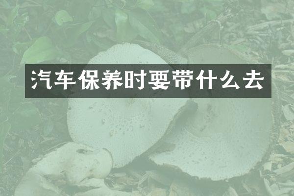 汽车保养时要带什么去