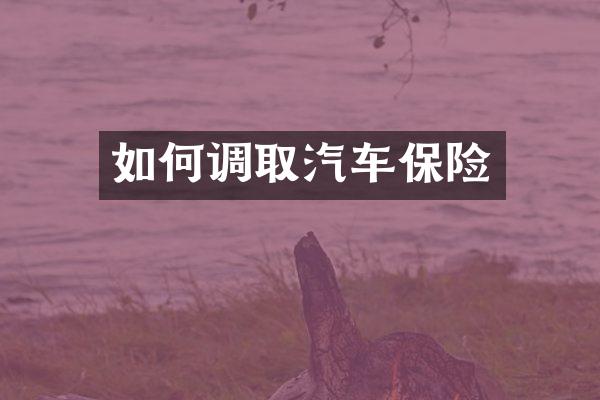 如何调取汽车保险