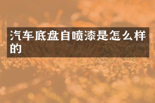 汽车底盘自喷漆是怎么样的