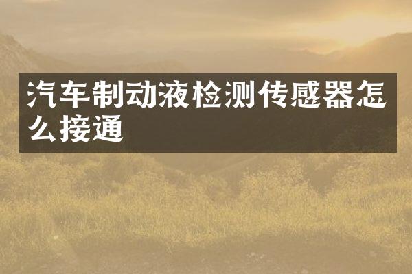 汽车制动液检测传感器怎么接通