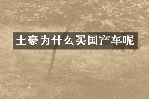土豪为什么买国产车呢