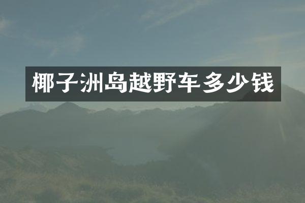 椰子洲岛越野车多少钱