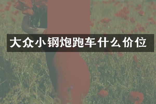 大众小钢炮跑车什么价位