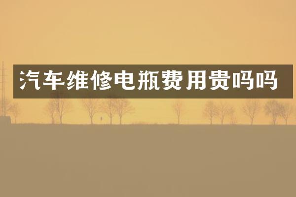 汽车维修电瓶费用贵吗吗