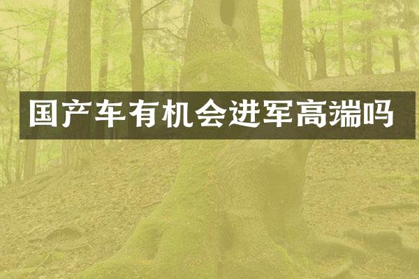 国产车有机会进军高端吗