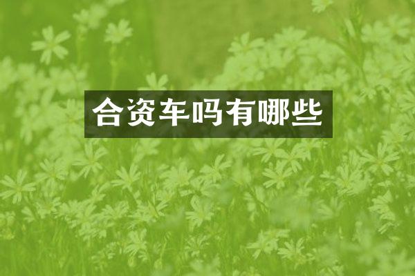 合资车吗有哪些